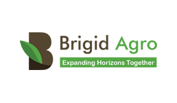 Brigid Agro Trade